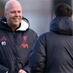 手把手教你如何玩转芒果体育，运动新手必读指南